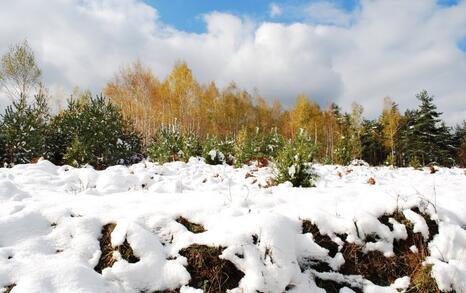 The beauty of Eastern Rhodopes