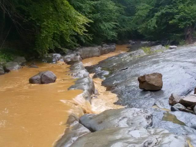 Стара планина - Водят ли сечите в горите до безводие и наводнения?