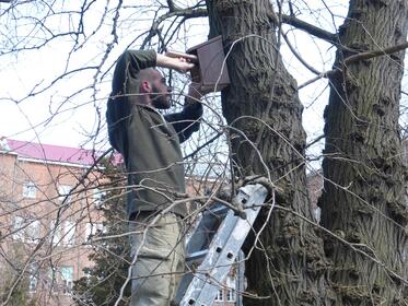 Young and more experienced biologists built new shelter for the birds of Sofia