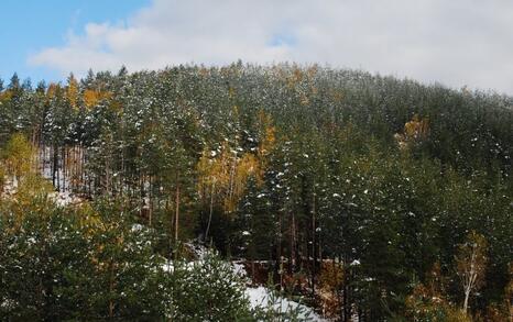 The beauty of Eastern Rhodopes