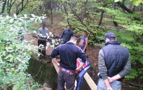 The “For Knyajevo” Network beautified the pine forest near the district