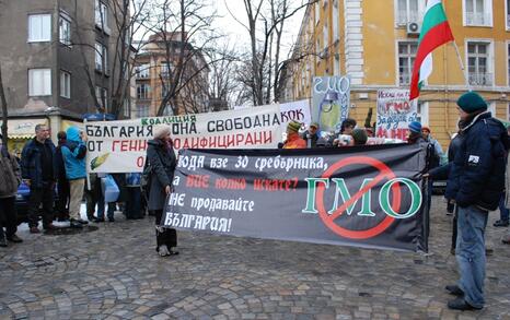 March against GMO release in Bulgaria – 31.01.2010, Sofia