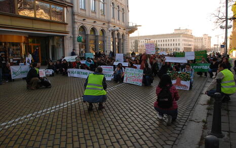 Protest for the Bulgarian forests