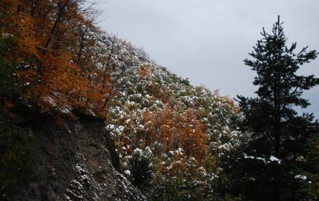 The beauty of Eastern Rhodopes