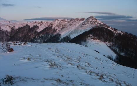 Winter 5-day hike of tourist club 'Prista'-Ruse and friends of the ForTheNature Coalition in Central Balkan National Park