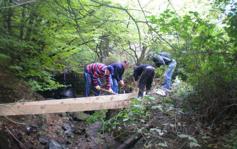 The “For Knyajevo” Network beautified the pine forest near the district