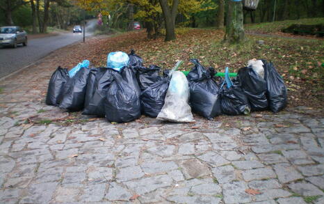 The “For Knyajevo” Network beautified the pine forest near the district