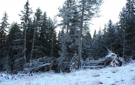 Rila's frozen lakes