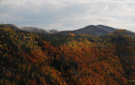 The beauty of Eastern Rhodopes