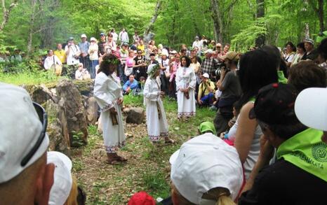 Zelenika festival 2010